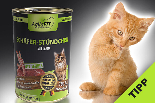 AgilaFIT TIPP für Katzen